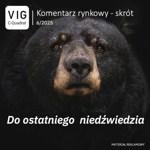 Przejdź do: Strona główna